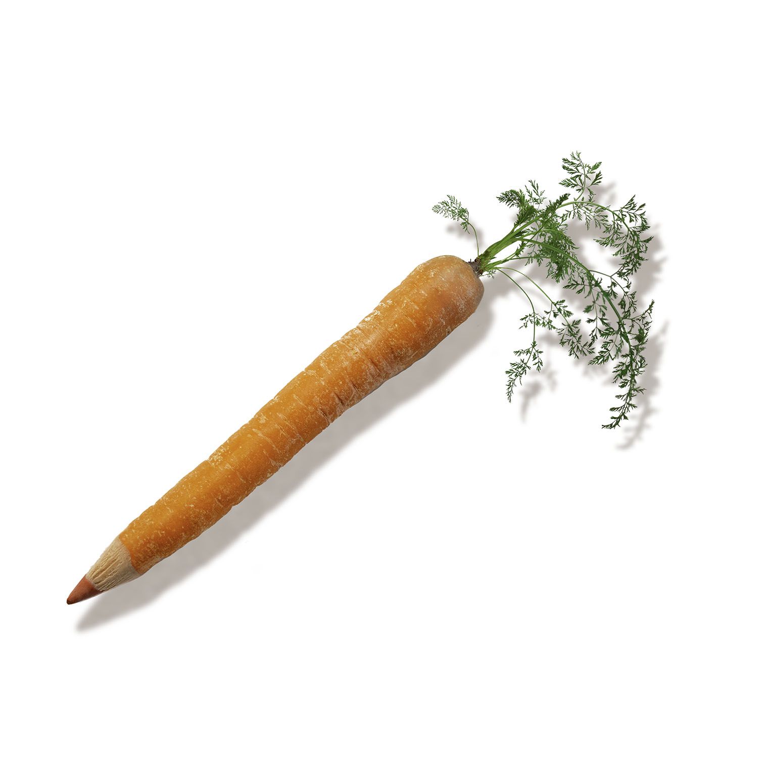 boli diseña en una zanahoria